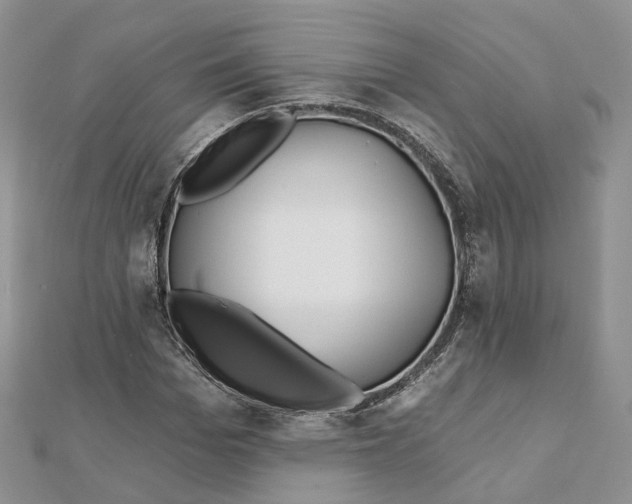 X0000112060969200909010959