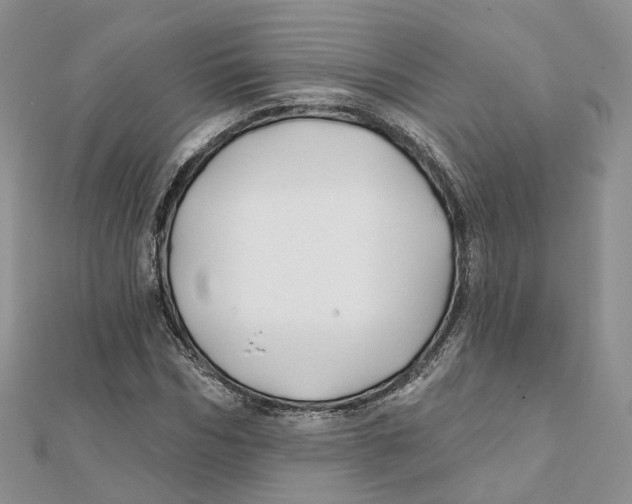 X0000112060970200909010959
