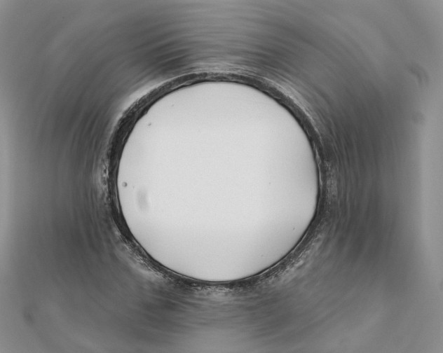 X0000112060971200909010959
