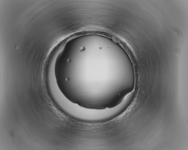X0000112060973200909010959