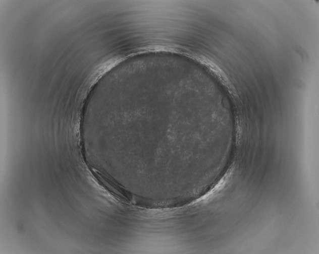 X0000112060977200909010959