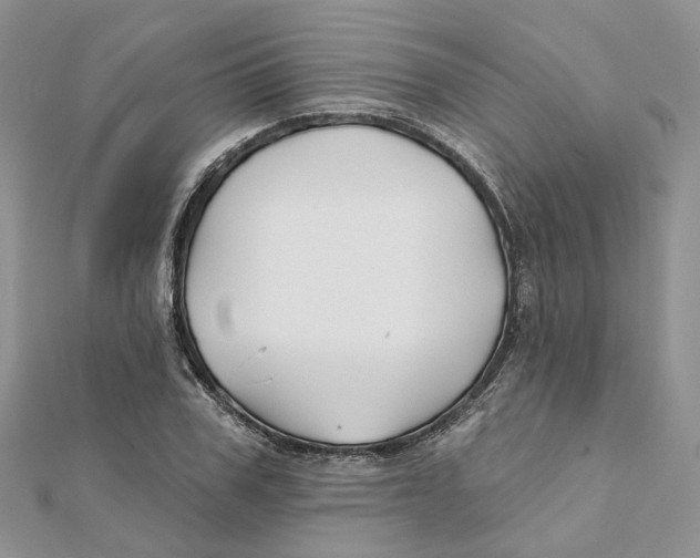 X0000112060979200909010959