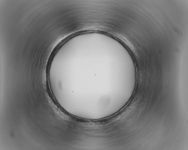X0000112060980200909010959