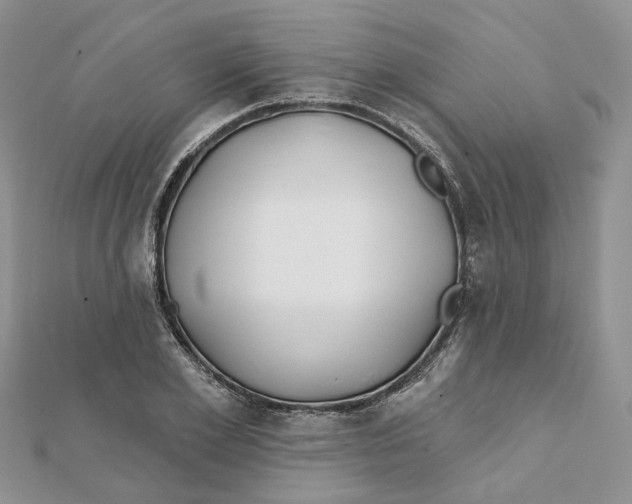 X0000112060981200909010959