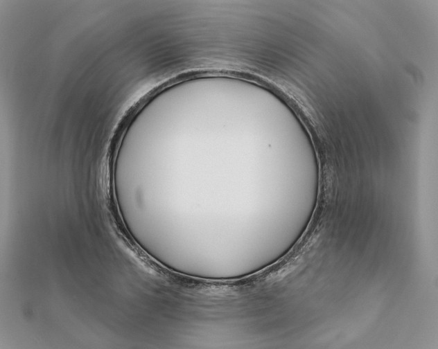 X0000112060982200909010959
