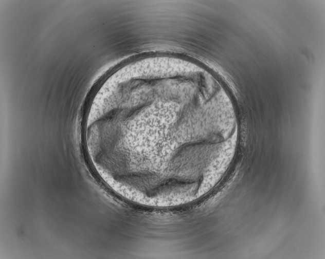 X0000112060983200909010959