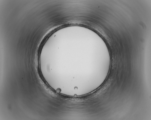 X0000112060984200909010959