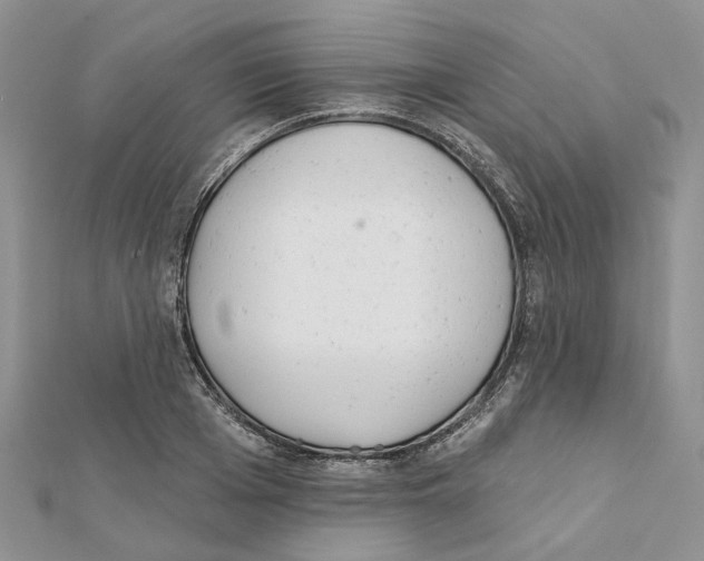 X0000112060985200909010959