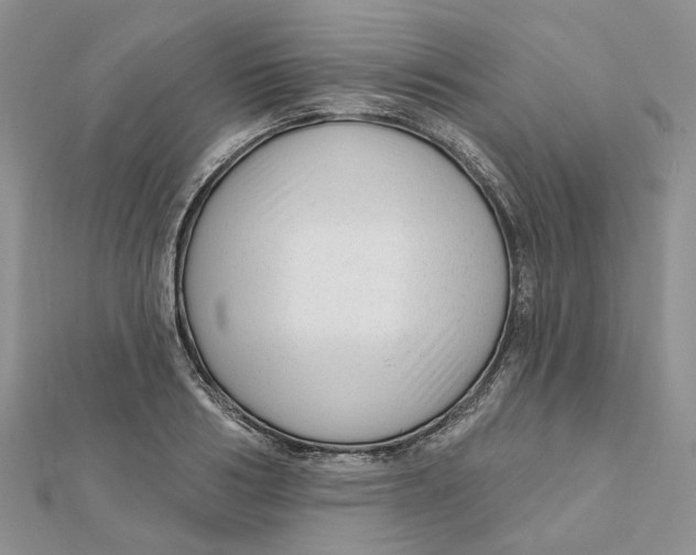 X0000112060986200909010959