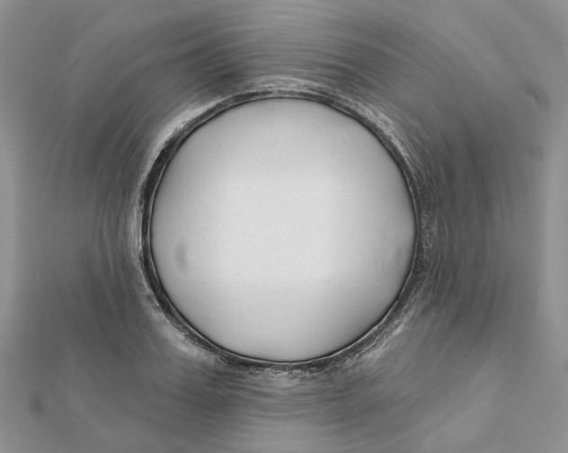 X0000112060987200909010959