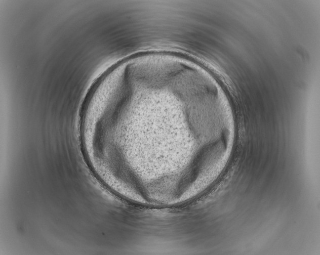 X0000112060990200909010959