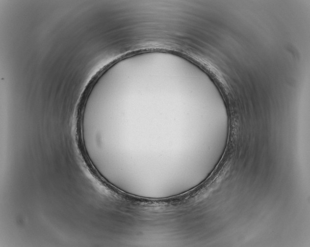 X0000112060991200909010959