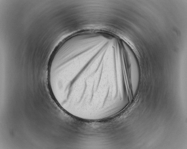 X0000112060992200909010959