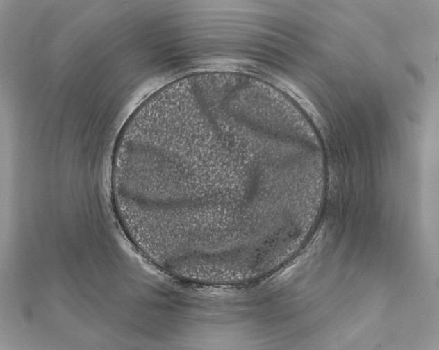 X0000112060994200909010959