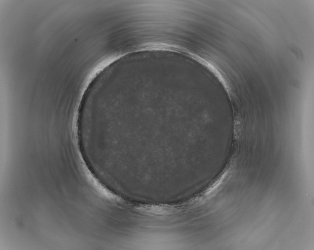 X0000112060995200909010959