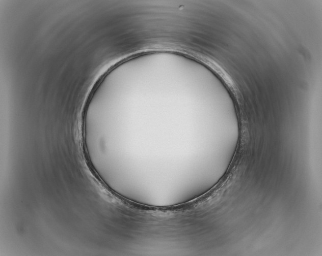 X0000112060996200909010959