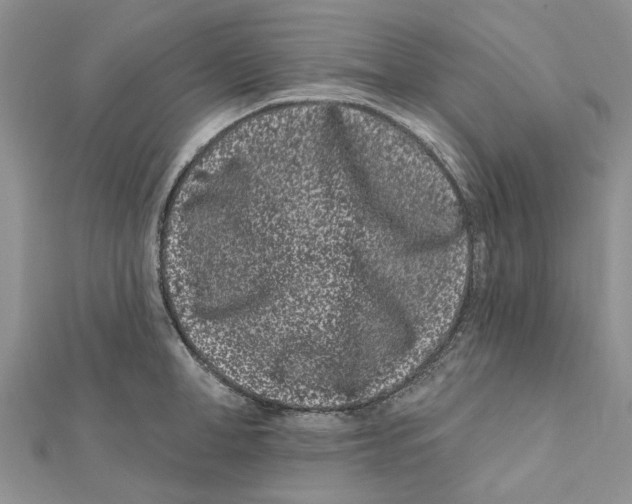 X0000112060998200909010959