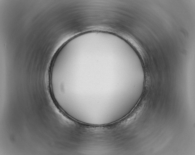 X0000112060999200909010959
