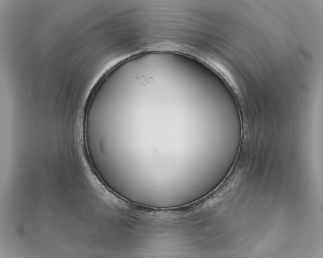 X0000112061000200909010959