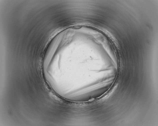 X0000112061001200909010959