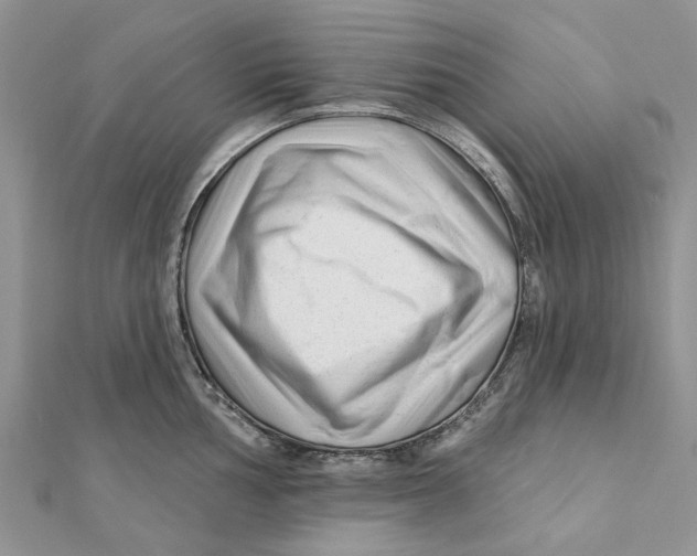 X0000112061002200909010959