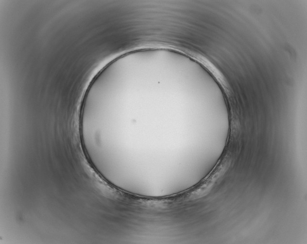 X0000112061004200909010959