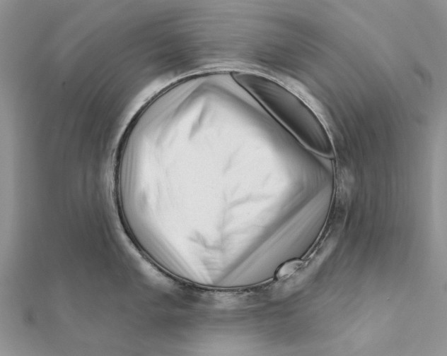 X0000112061005200909010959