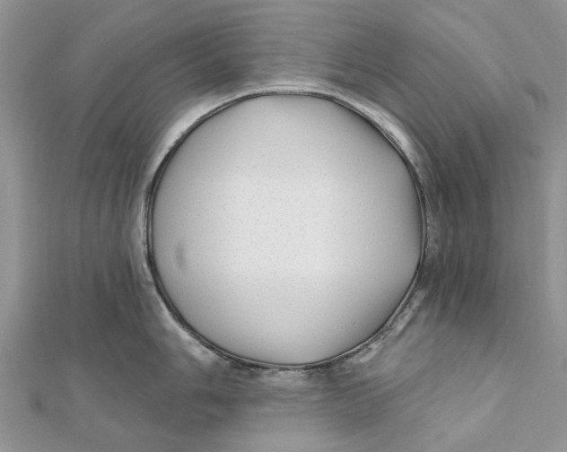 X0000112061006200909010959