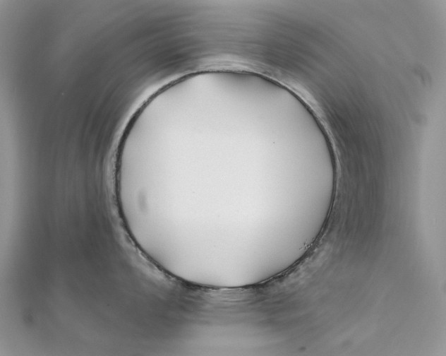 X0000112061008200909010959