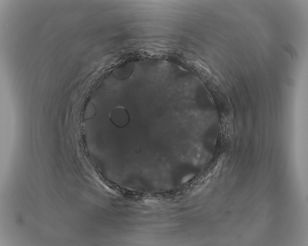 X0000112061009200909010958
