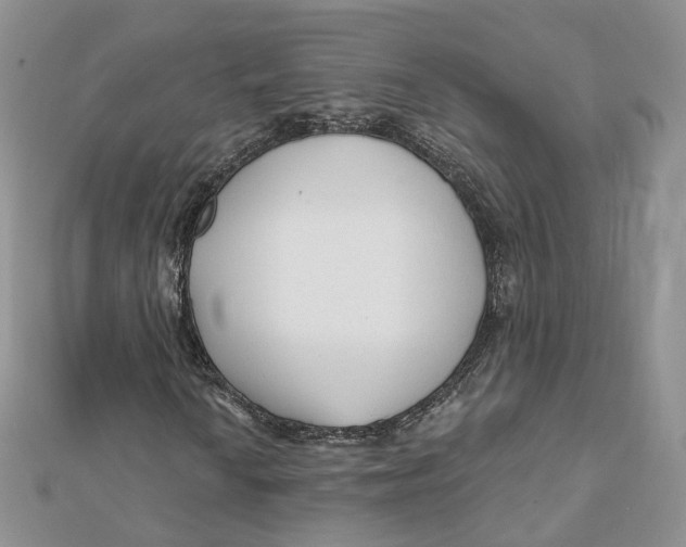 X0000112061010200909010958