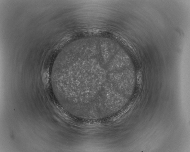 X0000112061011200909010958