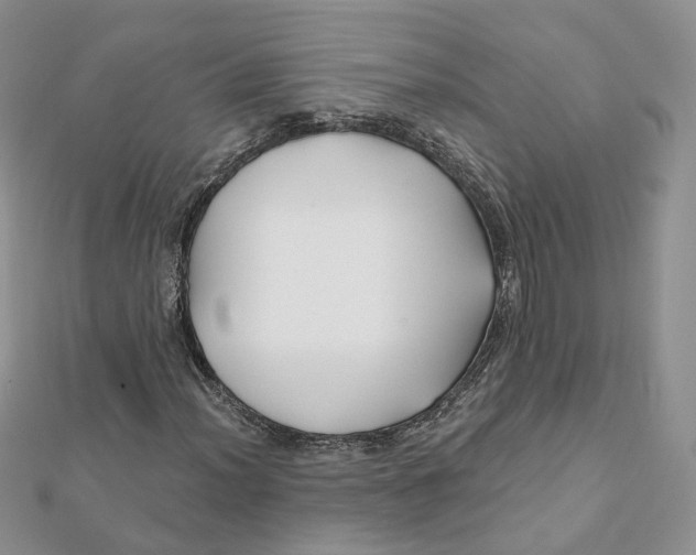 X0000112061012200909010958