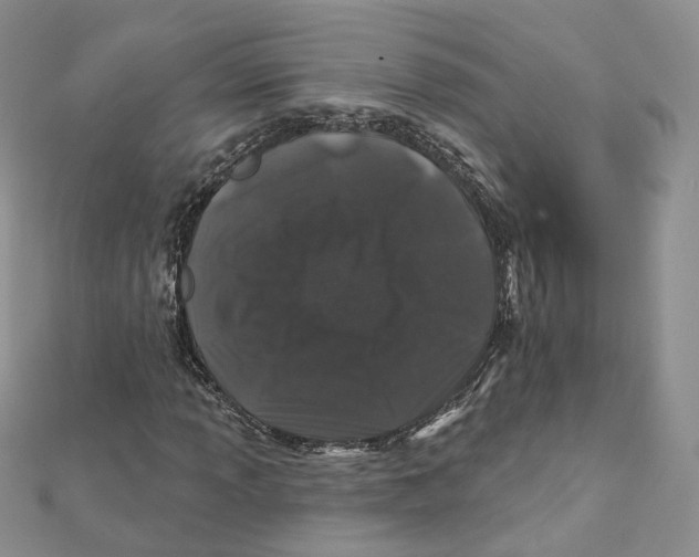 X0000112061013200909010958
