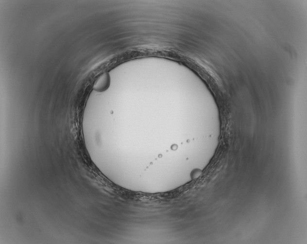 X0000112061015200909010958