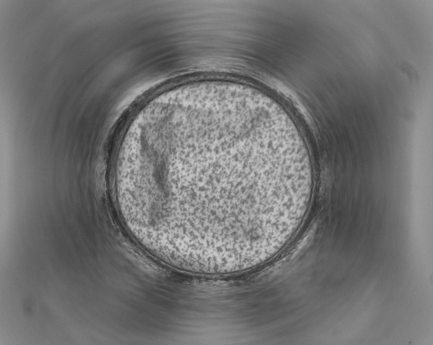 X0000112061019200909010958