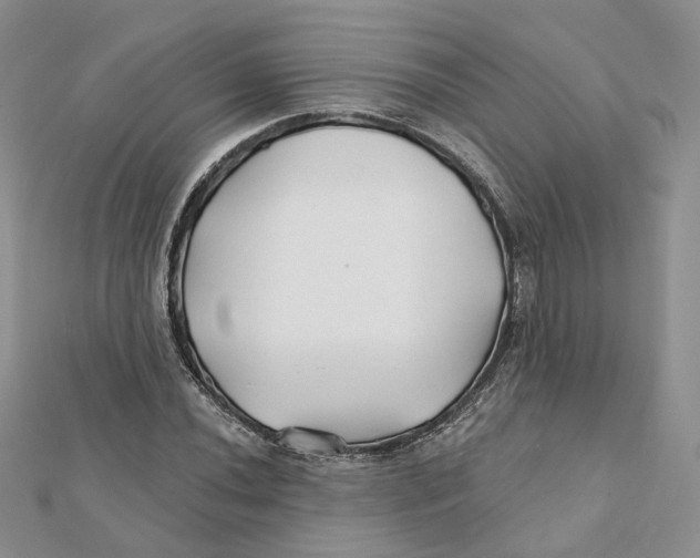 X0000112061020200909010958