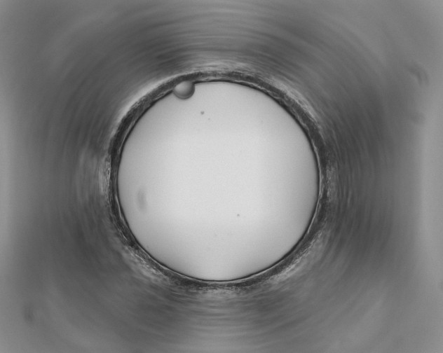 X0000112061021200909010958