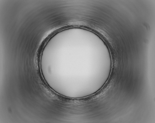 X0000112061022200909010958
