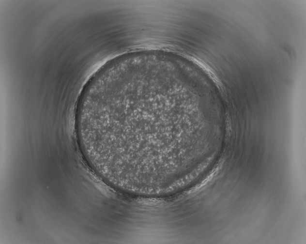 X0000112061023200909010958