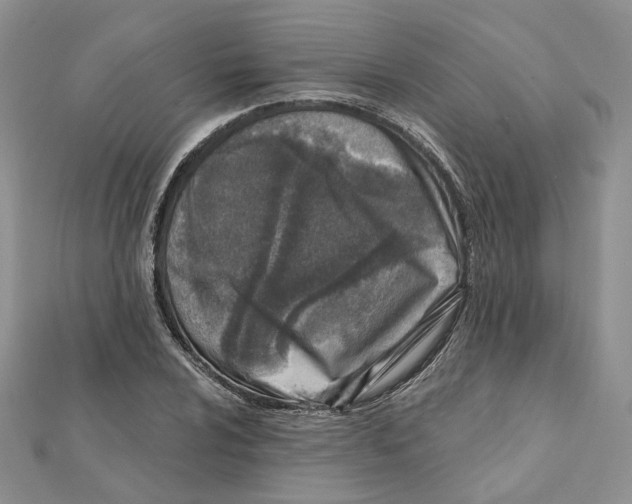 X0000112061024200909010958