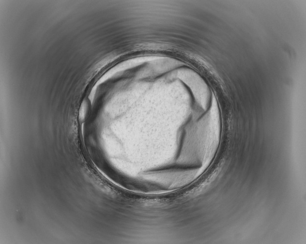 X0000112061025200909010958