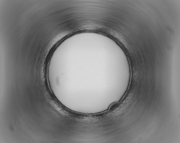 X0000112061026200909010958