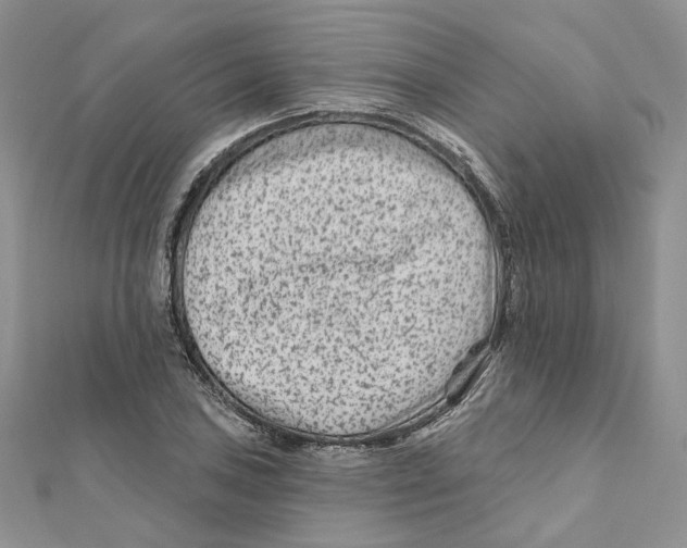 X0000112061027200909010958
