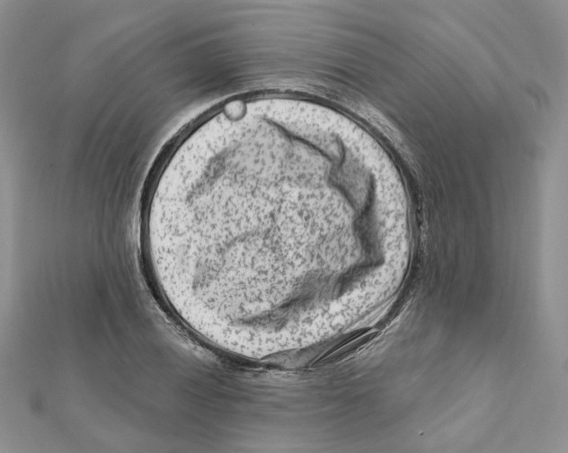 X0000112061028200909010958