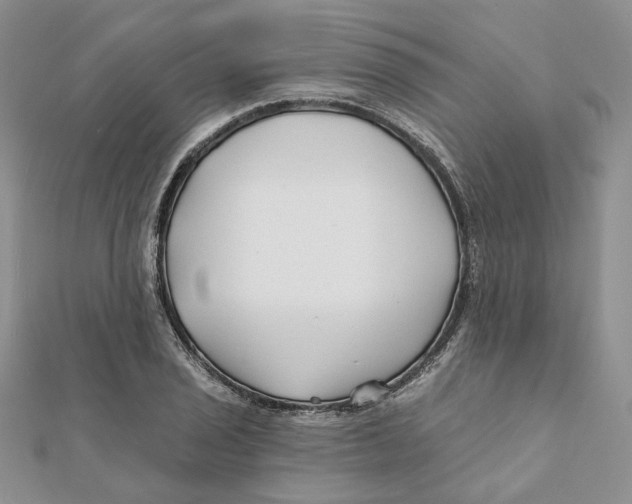 X0000112061029200909010958