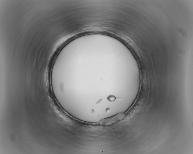 X0000112061030200909010958