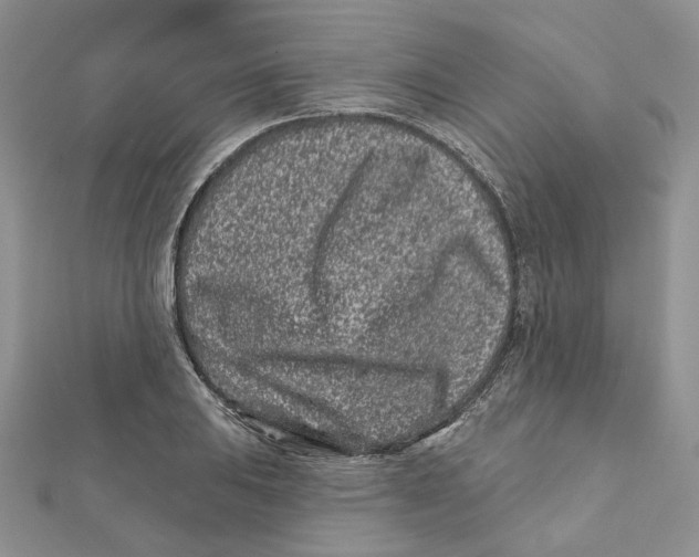 X0000112061031200909010958