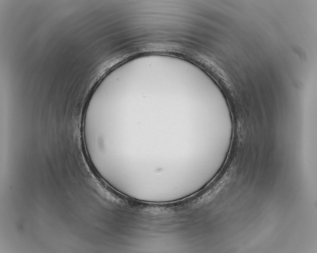 X0000112061033200909010958