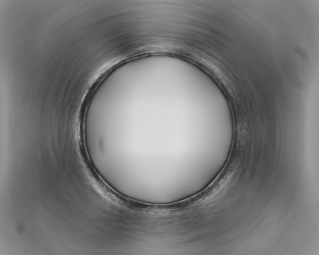 X0000112061034200909010958